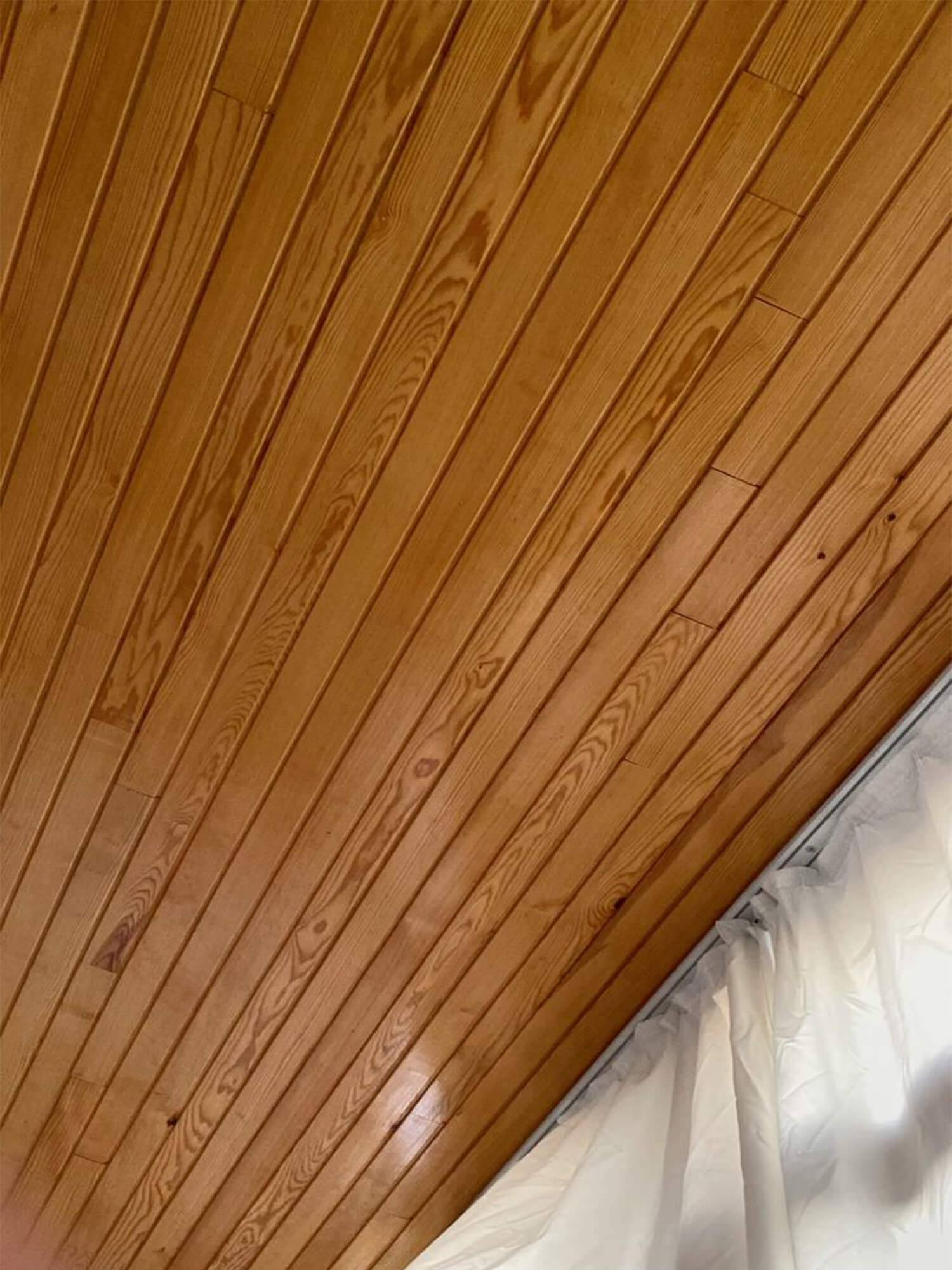 trần gỗ sồi tự nhiên